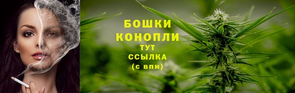 мяу мяу мука Семилуки