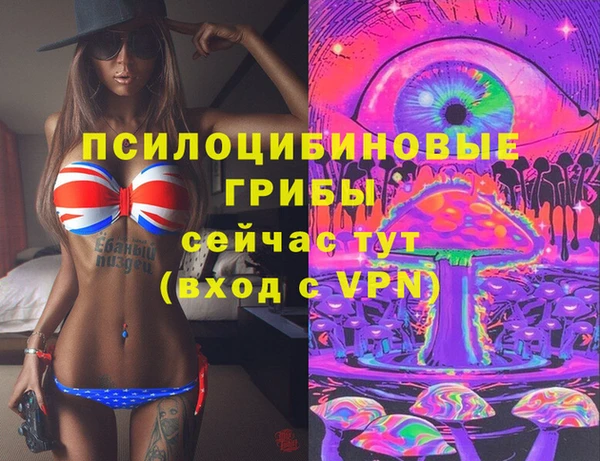 мдпв Сатка